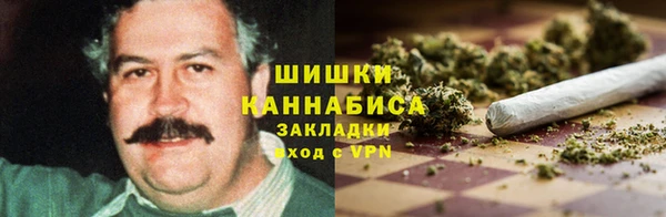 амф Михайловск