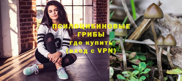мескалин Надым