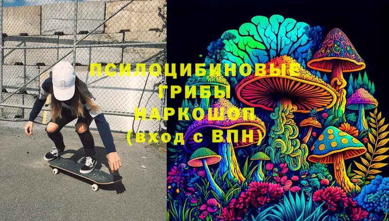 Псилоцибиновые грибы Magic Shrooms  Сорск 